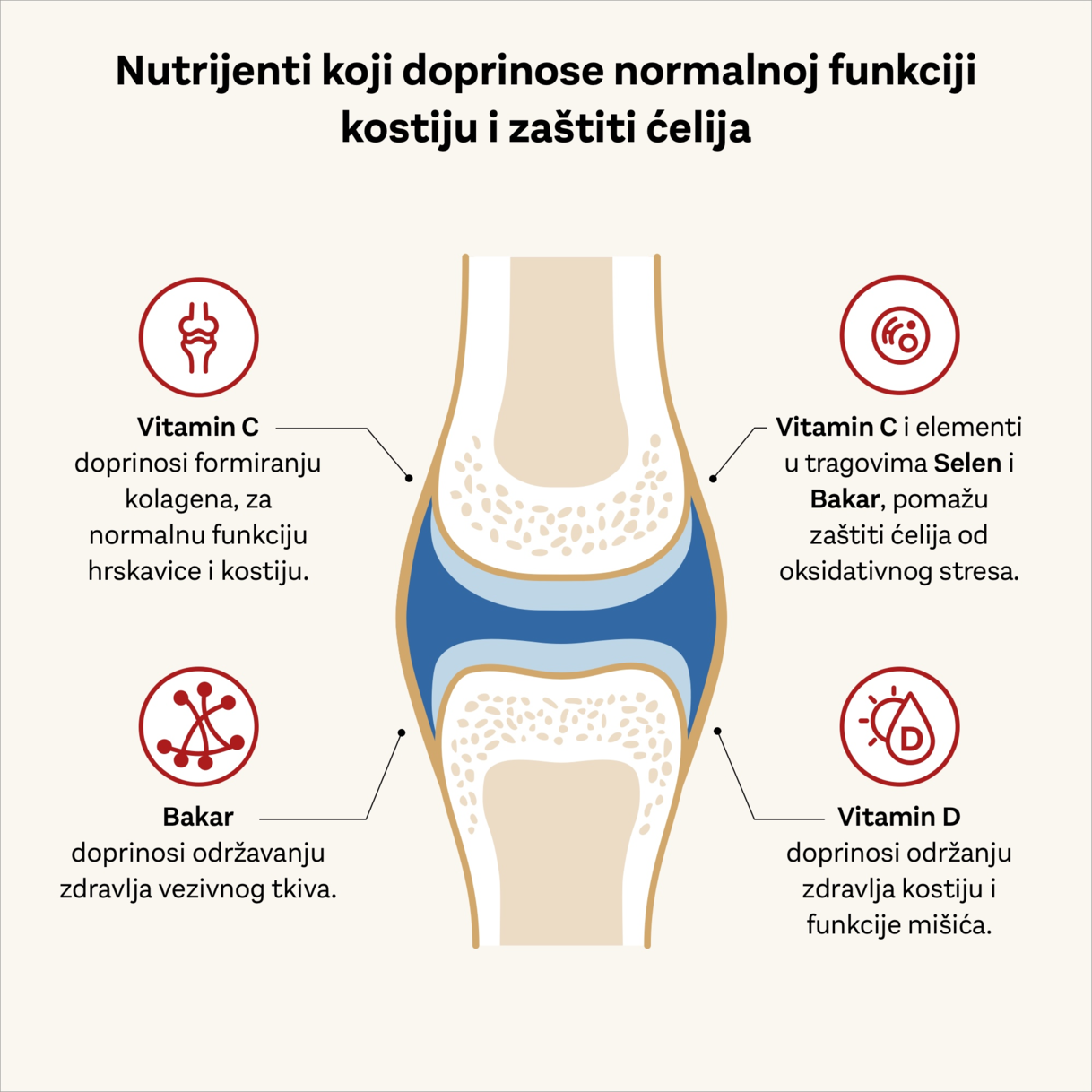 KOLAGEN 11.000 PLUS 